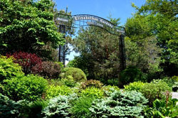 irving-the-elizabethan-garden