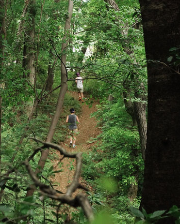 トレイルランニング体験
