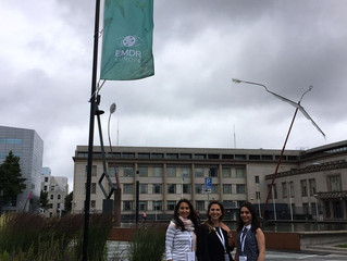 EMDR Avrupa Konferansı 2016- Hollanda