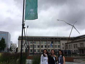 EMDR Avrupa Konferansı 2016- Hollanda
