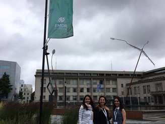 EMDR Avrupa Konferansı 2016- Hollanda