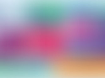 Bilan DSN - 2025 en un coup d’oeil