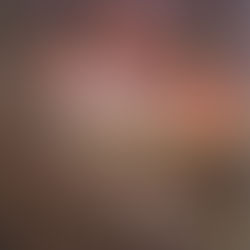 PENSANDO EM MATEMÁTICA NO CERRADO GOIANO