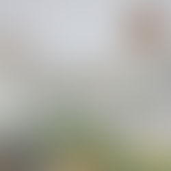 A ARTE-ARQUITETURA COLONIAL DE PIRENÓPOLIS