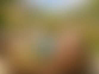 魂の統合セッション