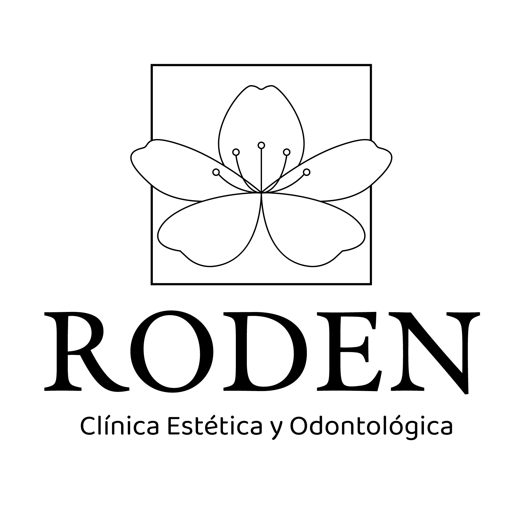 Foto del escritor: Roden