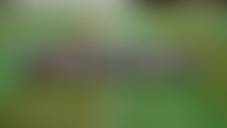 【三山木幼稚園と交流会を行いました】