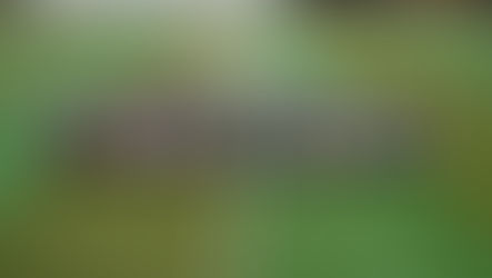 【三山木幼稚園と交流会を行いました】