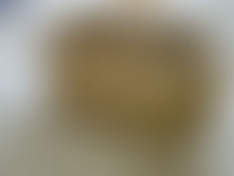 Coach x Selena Gomez Purse