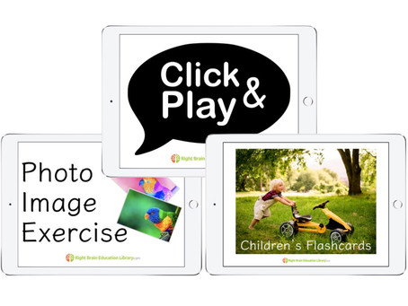 Your Baby/Toddler Has NEW Flashcards And Right Brain Exercises...