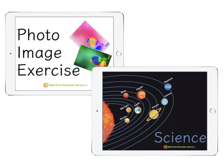 Your Baby/Toddler Has NEW Flashcards And Right Brain Exercises...