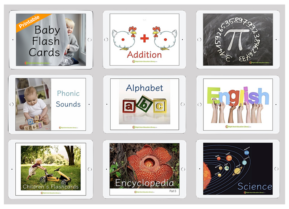 How to Teach Your Baby/Toddler Flash Cards at Home?