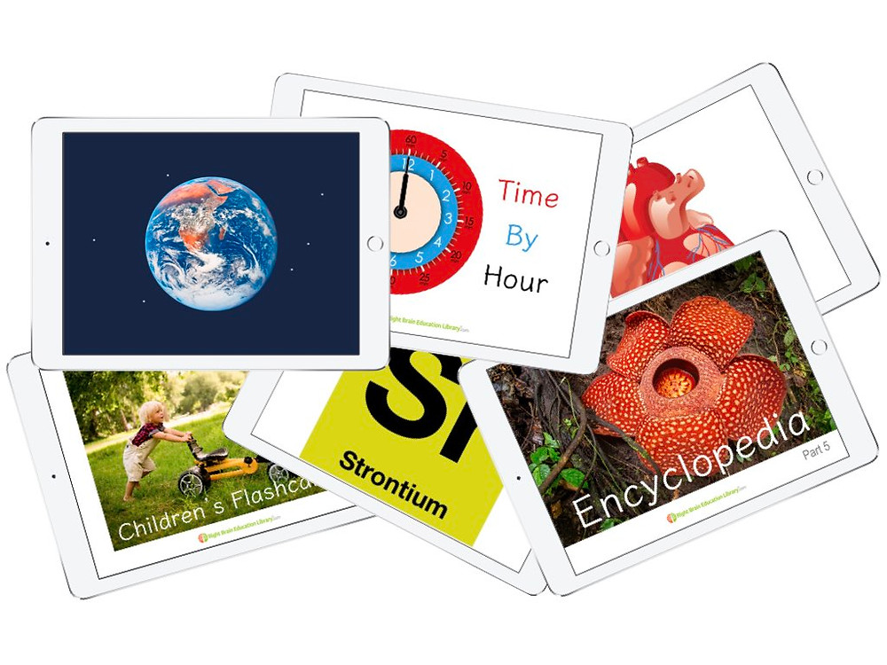 Shichida Flashcards