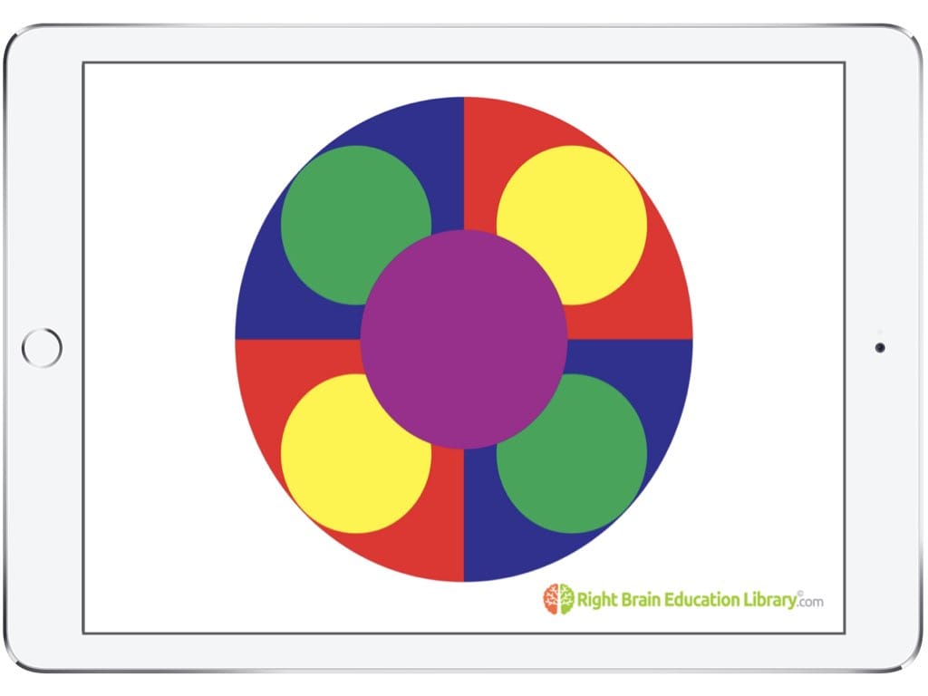 Baby Flash Cards Early Learning Right Brain Education Library