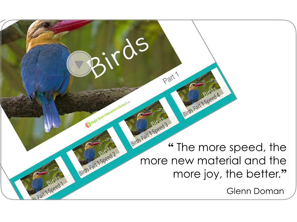 Glenn Doman Flashcards