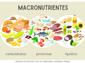 Macronutrientes - Proteínas, Carboídratos e Lipídios