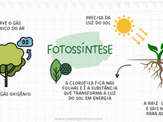 Fotossíntese