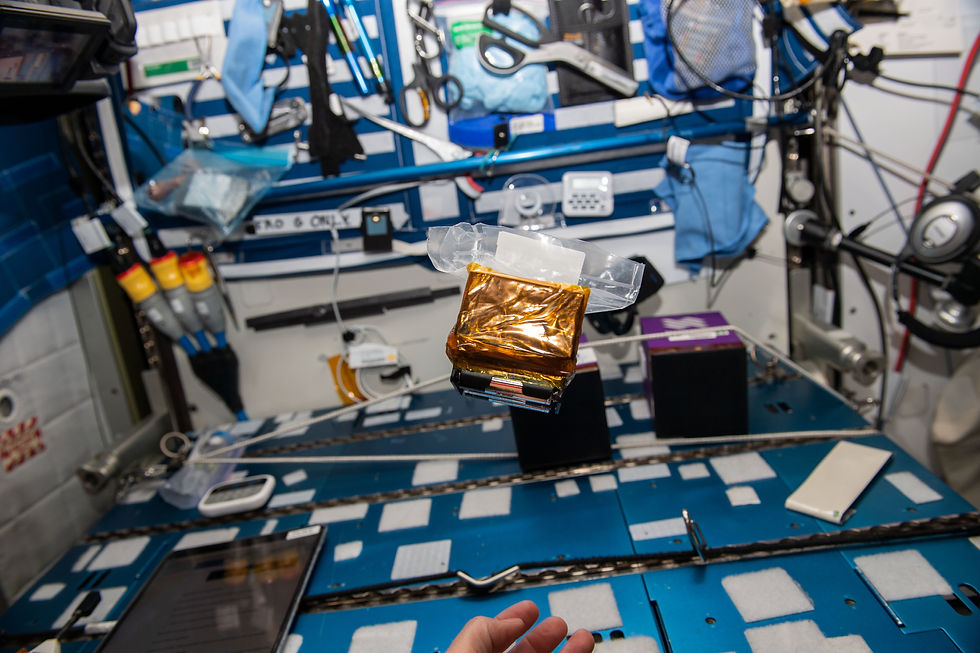 ISS Expedition 68