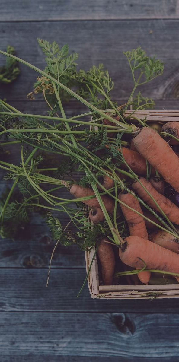 Glutathione: the unsung hero of antioxidants