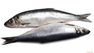 Oily fish
