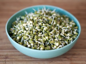 mung bean sprouts