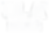 ULA Charitable Foundation All White.png