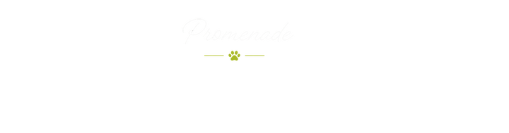 Design sans titre (5).png