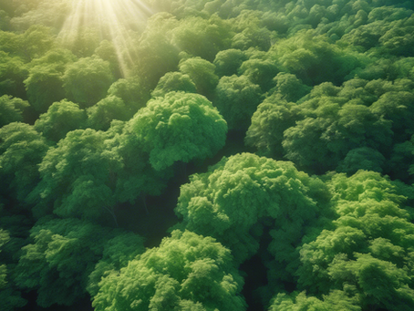 Nature-Based Child Care and Learning in Indianapolis