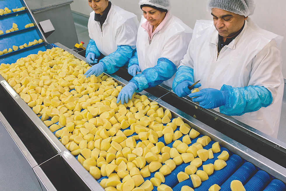 Prepared potatoes being processed at Prepared Produce facility