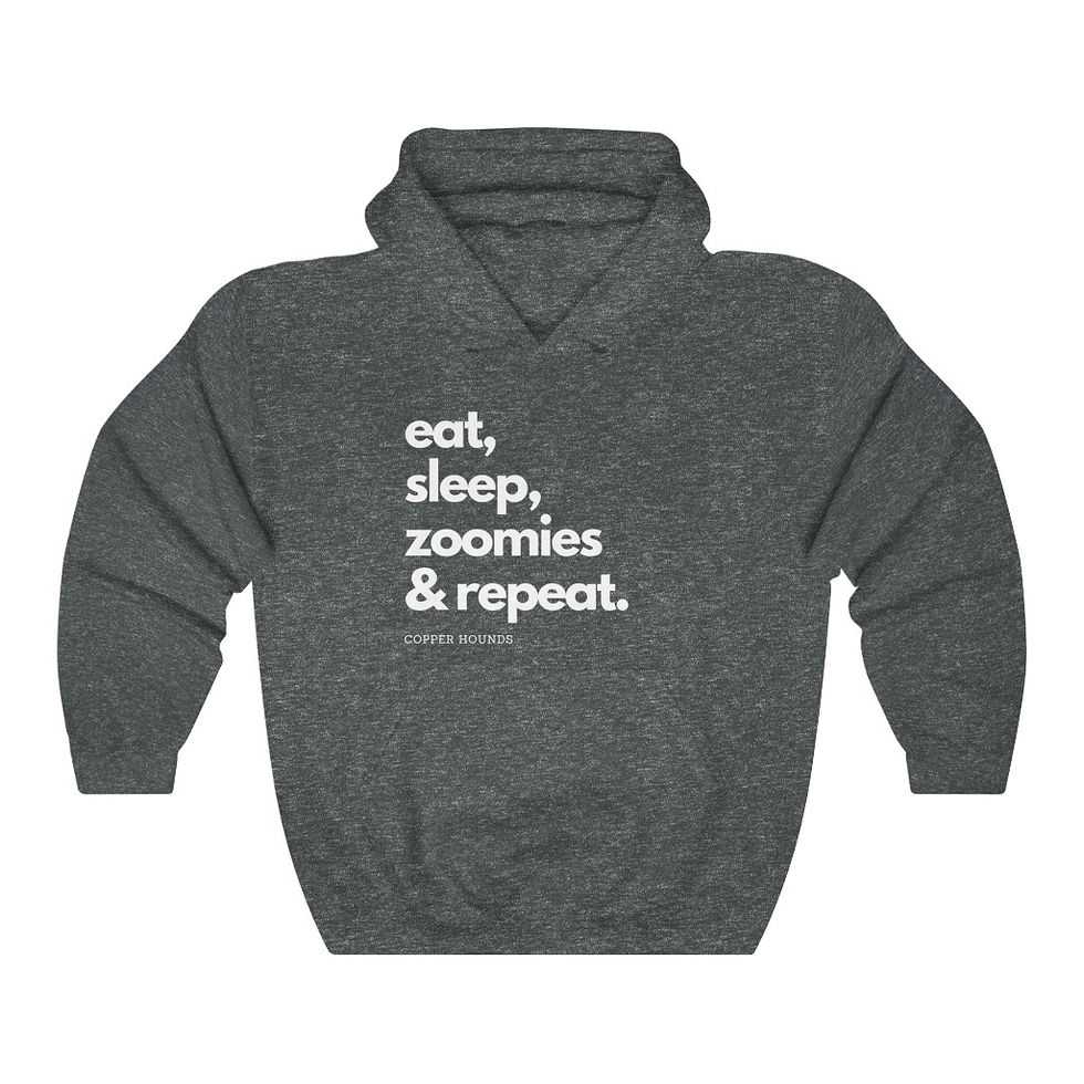 Thumbnail: Zoomies Hoodie