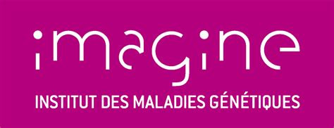 Imagine, un institut français qui lutte contre les malades génétiques