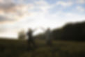 _DSC0183.ARW copy.jpg