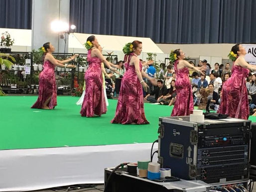 「hawaii Days Project」 鶴見緑地ハナミズキホールにて