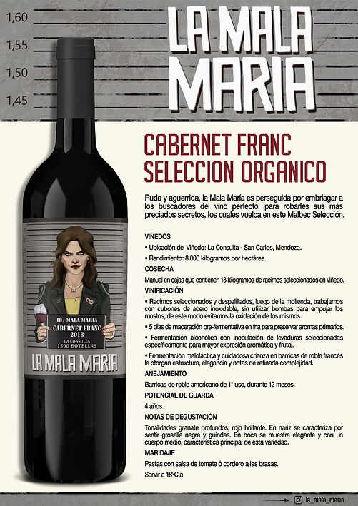 LINEA SELECCION_page-0002