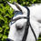 Thumbnail: PE Abriano Anatomic Double Bridle