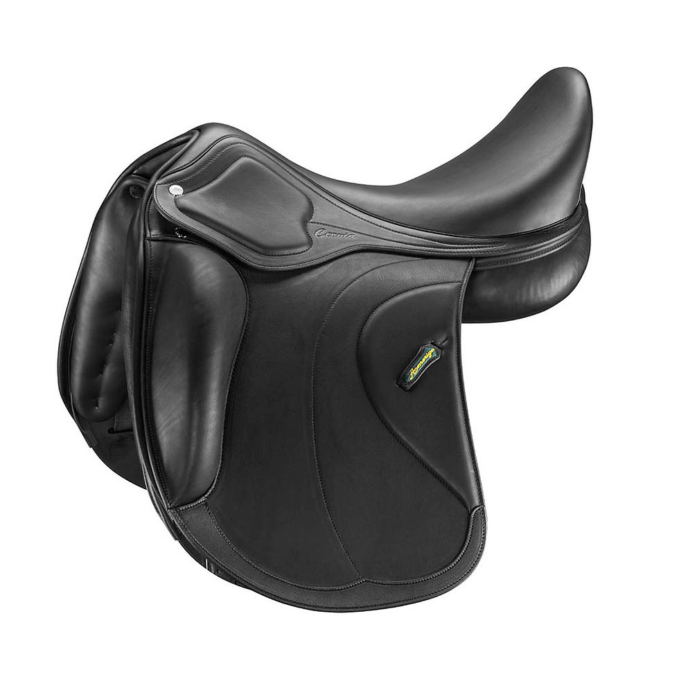 Wider warmblood saddle