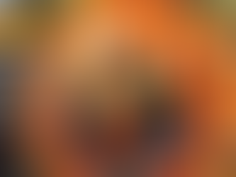 Carnaval in Cozumel: A Celebration of Culture, Color, and Tradition