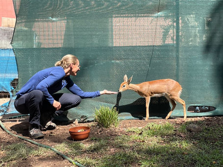 Goodbye Chipangali!--Asher