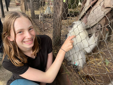 Second to Last Day at Chipangali--Primates!--Linden