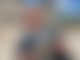 Sabbatical Summary--Linden