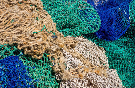 How Fishing Nets Transform into Stylish EyewearFROM WASTE, TO RESOURCE