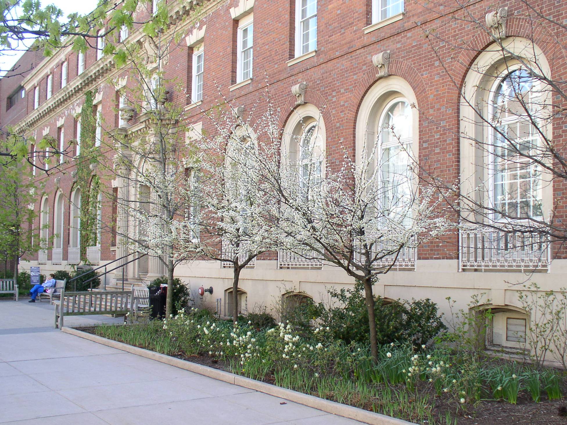 towersgoldecopy Cedar Street, Yale School of Medicine