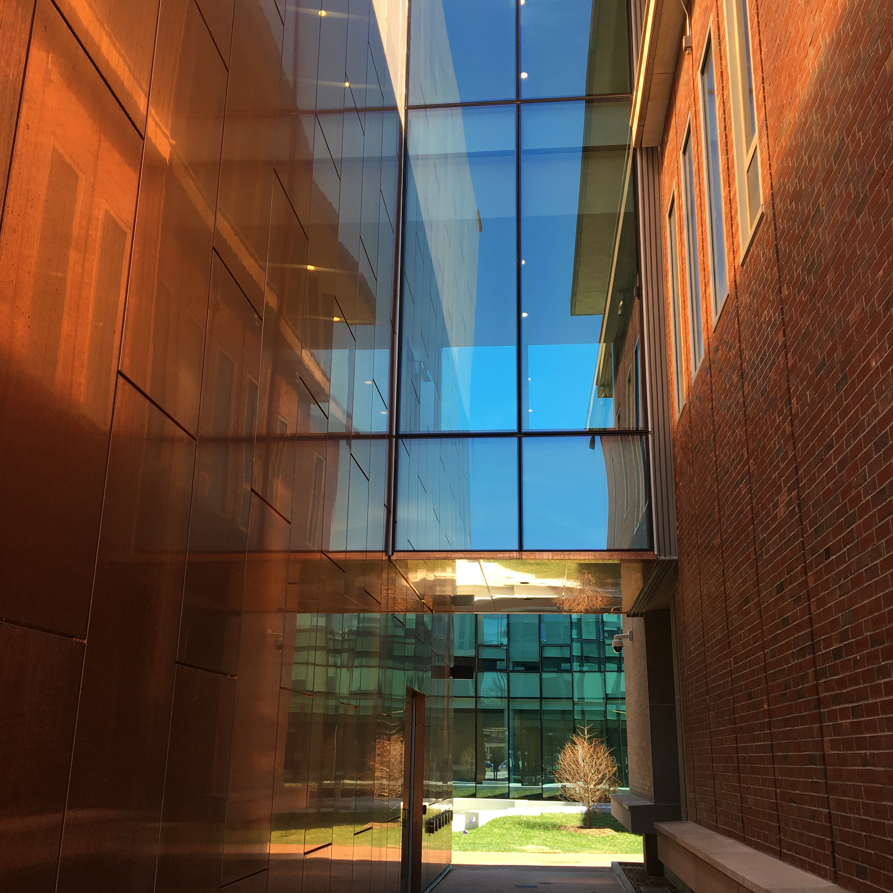 UMass Amherst ISOM | Massachusetts | Towers|Golde