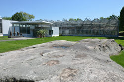 NYBG Nolan Greenhouses