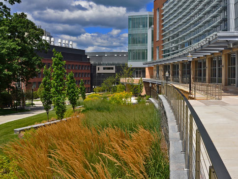 2015 BSLA Honor Design Award