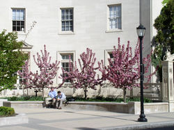 Yale School of Medicine