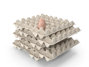 egg-cartons-carton-a86Owr5-600.jpg