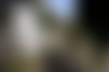 CACCIA AL TESORO, tappa numero 7