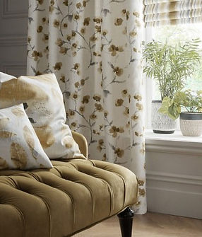 Image13.jpg