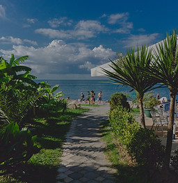 people walking on pathway near sea under